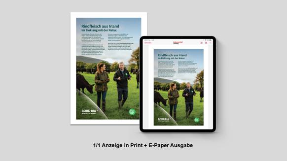 Glaubwürdige und großflächige Imagewerbung durch Platzierung von Printanzeigen im LänderReport Irland.