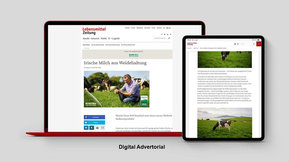 Gestalterisch und inhaltlich vielfältige Bewerbung irischer Produkte im Digital Advertorial auf www.lebensmittelzeitung.net