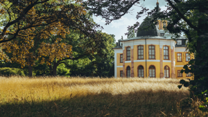 Teaser LR Mitteldeutschland