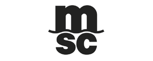 LZ Medien Logo International MSC