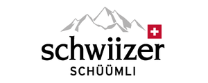 LZ Medien Logo International Schwiitzer